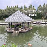 คาเฟ่เป็ดสำหรับเด็กๆ บรรยากาศชนะเลิศ