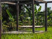 บ้านไร่ปลายนา อุทัยธานี