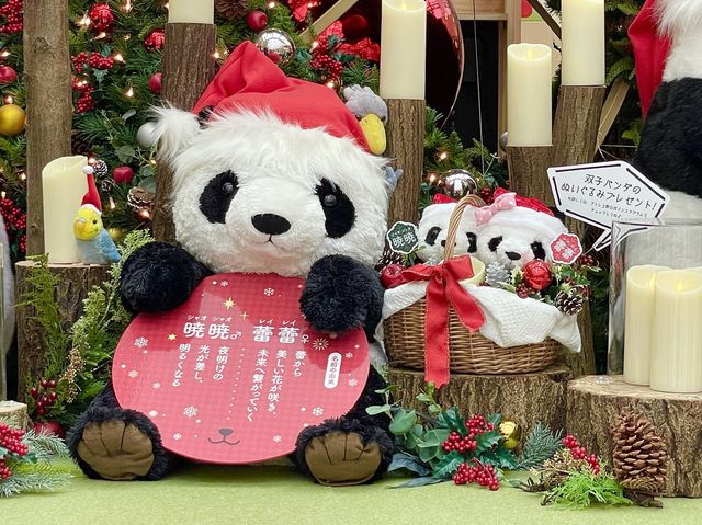 【東京都/上野駅】上野のシンボルのパンダ