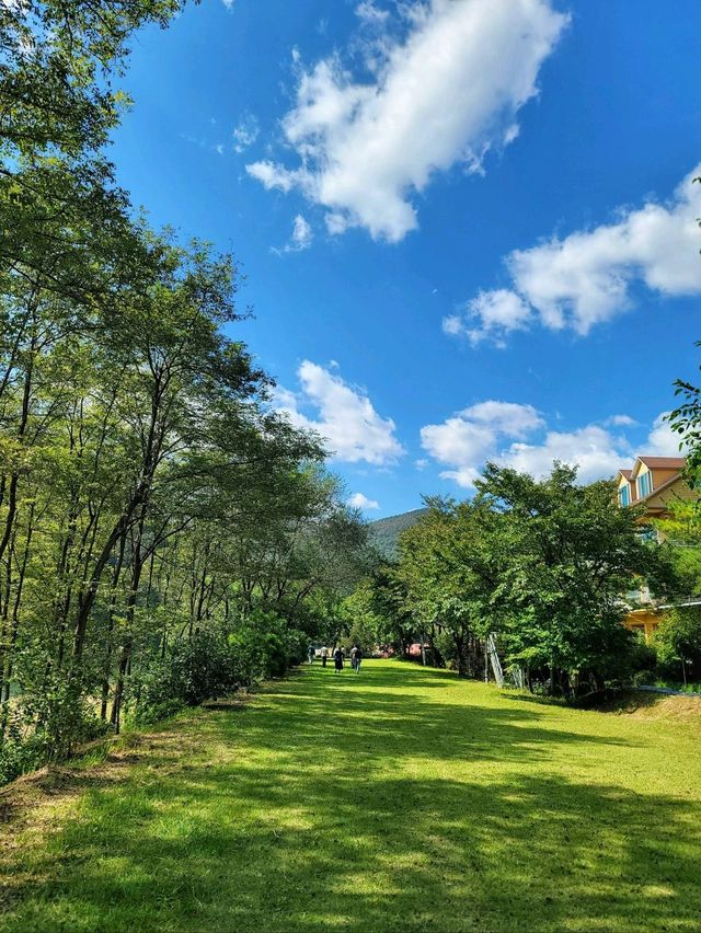 영월의 동강따라 가을 꽃놀이 즐기기🏞🌸