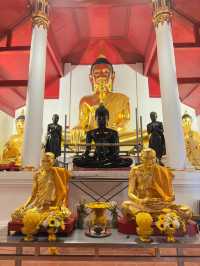 📍“เกิดมาชาติหนึ่งขอได้กราบพระบรมธาตุเมืองคอน”