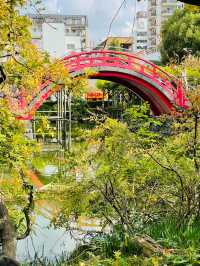 【東京都/亀戸天神社】亀戸天神菊まつり