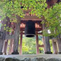  🎌禪意浸潤的日式寺院🎌 醍醐寺🎌