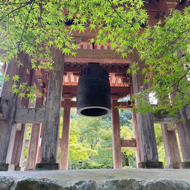  🎌禪意浸潤的日式寺院🎌 醍醐寺🎌
