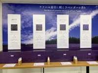 富良野薰衣草花田之王「富田農場」：必去打卡點，薰衣草控必朝聖！