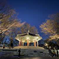 Namsan tower