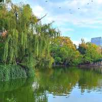 Exploring beautiful Green Lake Park in Kunmin