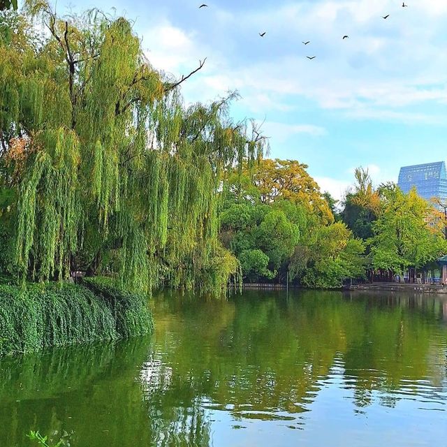 Exploring beautiful Green Lake Park in Kunmin