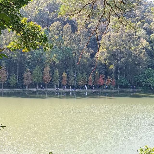 粉嶺郊遊