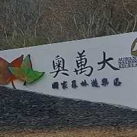 呼吸芬多精好地方