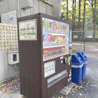 Huge park in Shinjuku 