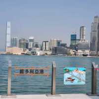 灣仔海濱長廊 | 海岸堤階