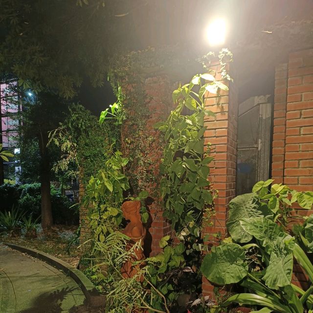 屏東市自然風餐廳 異國料理 綠意盎然的環境