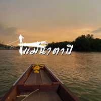 ล่องเรือ ชมหิ่งห้อยแม่น้ำตาปี ยามเย็น