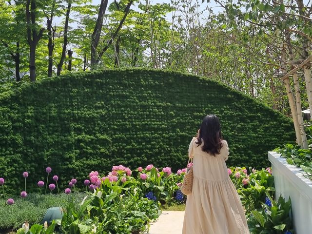 잠실에 나타난 베르테르의 정원🌹💕