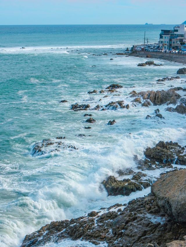 시원한 파도뷰를 만날 수 있는 곳🌊