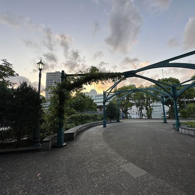 【横浜】夕方の港の見える丘公園で紫陽花散策