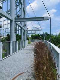 《台北》室內親子友善景點 超好拍高空透明木橋-台灣科學教育館