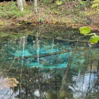 【北海道】摩周湖から生まれた神秘の湖「神の子池」