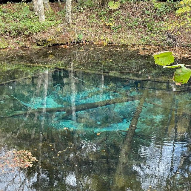 【北海道】摩周湖から生まれた神秘の湖「神の子池」
