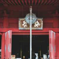 動物園+神社+博物館+櫻花+銀杏=上野公園