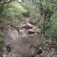 Best trek in south india 