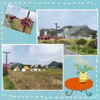 最新打卡景點📸❣️三清洞松峴綠地