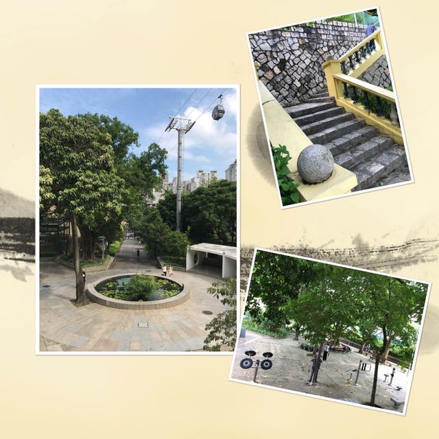 二龍喉公園動物尋蹤😍📸