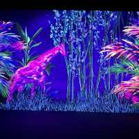 炎炎夏日之清涼靜心體驗-K11 Arte沉浸式數碼藝術展