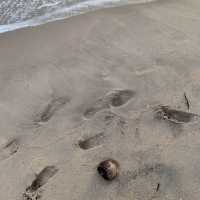 ชมวิวทะเลฟีลปูซานที่หาดแสงจันทร์ จ.ระยอง 