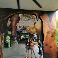 Best Zoo I visited - Singapore Zoo