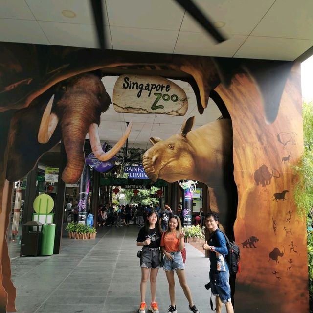 Best Zoo I visited - Singapore Zoo