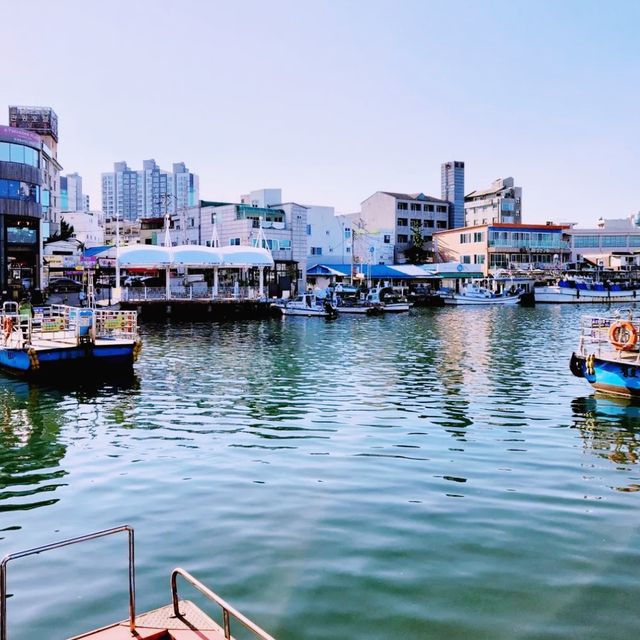 🌊 바닷가 앞 활기찬 전원의 풍경, 아바이 순대로 유명한 속초 아바이마을 