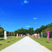 【京都】清めの盛砂はお参りお忘れなく