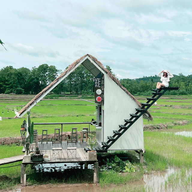 นาตาทา Cafe’ and Farm Stay