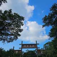 開心行下鳳凰山