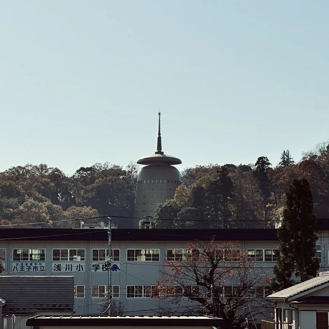 東京紅葉實況