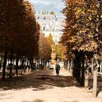 THE TUILERIES GARDEN. 