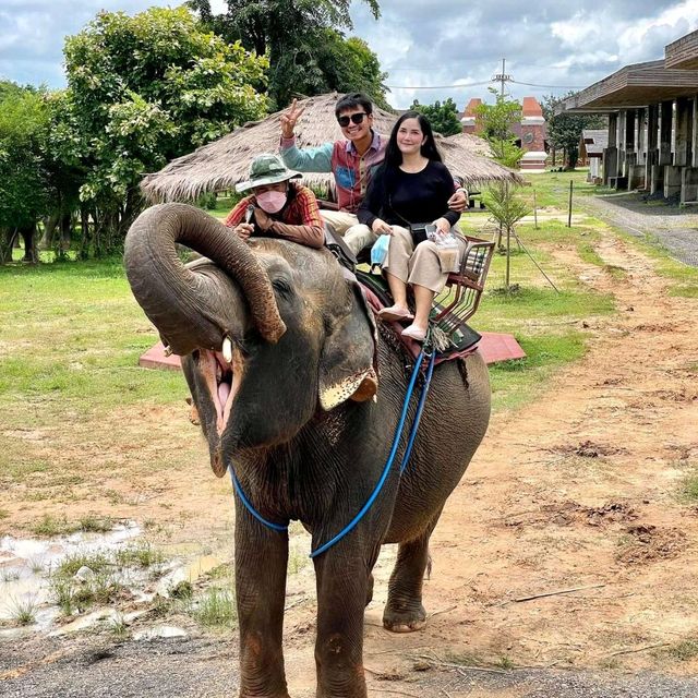 หมู่บ้านช้าง​ จังหวัดสุรินทร์
