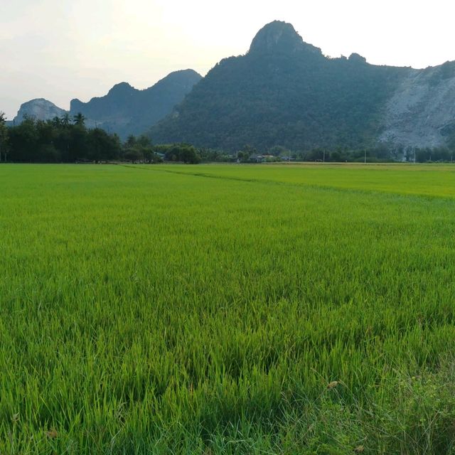 บ้านสวนคีรีวงศ์ อ.เขาย้อย จ.เพชรบุรี