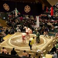 Sumo in Tokyo! 
