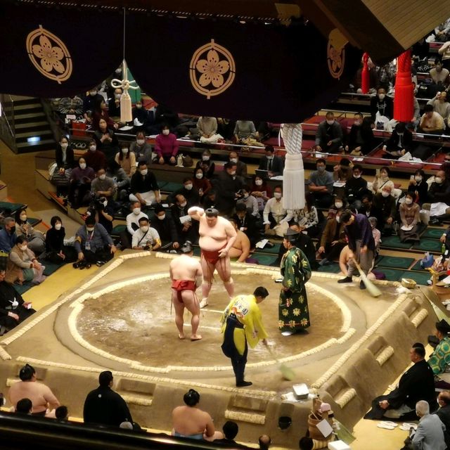 Sumo in Tokyo! 