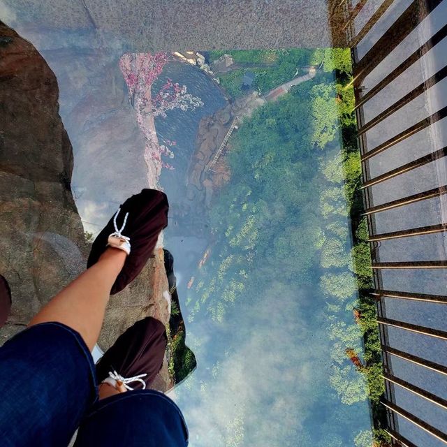 World’s Highest Waterfall Elevator View! 