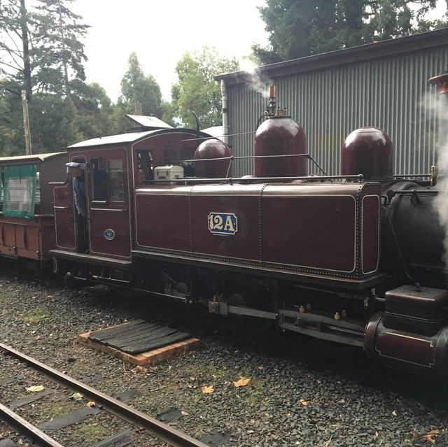 Fun place for kids to ride the steam train