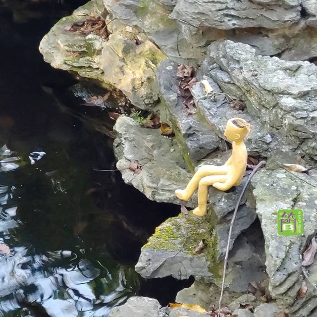 本地遊好去處《一樹無聲》展覽