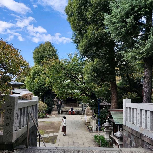 Exploring the Beauty of Ueno Park in Tokyo