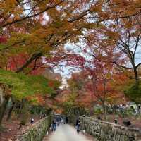 神秘古剎—日本京都宇治市「興聖寺」