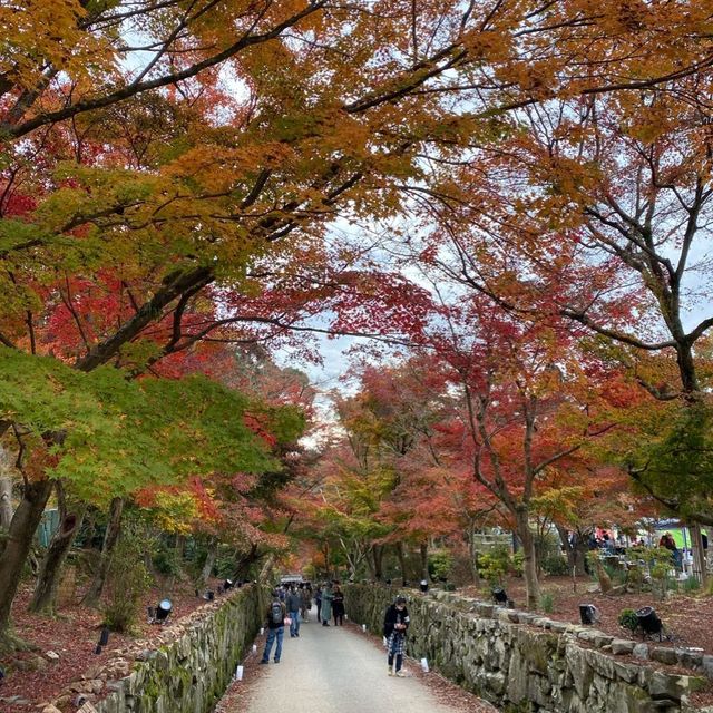 神秘古剎—日本京都宇治市「興聖寺」