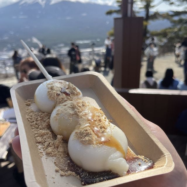河口湖一日遊，飽覽富士山必玩嘅纜車+遊覽船行程!
