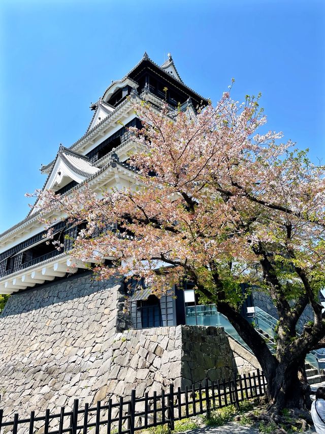 絕對要去❤️🇯🇵熊本城